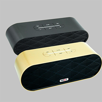 Bluetooth Speaker (Model NO BTS20)